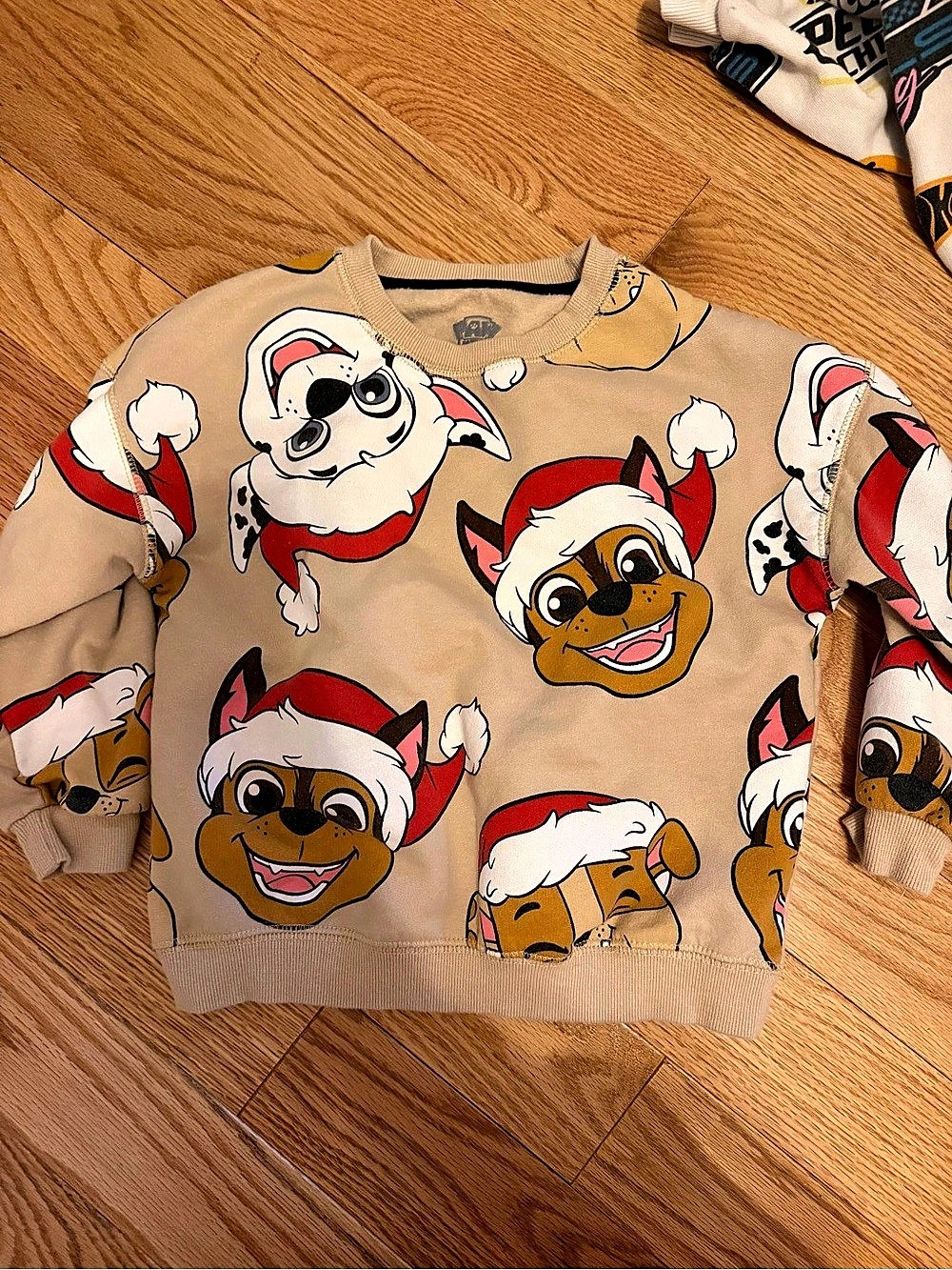 Paw Patrol Graphic Sweatshirt Boys 18M NWT